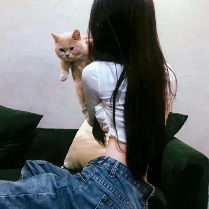 追星病毒